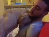 Un chien demande pardon à son maître