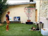 Communiquer avec son chien sans crier (4/4)