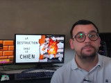 La destruction chez le chien