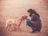 Les incompréhensions dans la relation Homme/chien