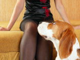 Le chevauchement : pourquoi mon chien grimpe-t-il sur la jambe ?