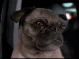 Chanson de Franck dans le film « Men in Black 2 » (2002)
