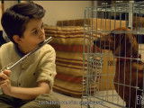 « Wiener-Dog » (2016), une comédie à l’humour grinçant