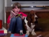 Le Basset Hound mascotte de Télé Z