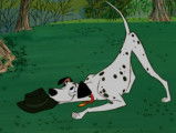 La rencontre entre Pongo et Perdita dans le film « Les 101 Dalmatiens » (1961)