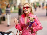 Elle Woods avec son chien Bruiser dans « La blonde contre-attaque » (2001)