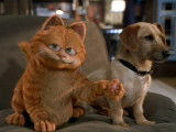 Garfield et Odie dans le film « Garfield » (2004)