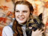 Dorothy Gale et son chien Toto, dans le film « Le magicien d’Oz »