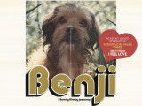 L'affiche du film « Benji » (1974)