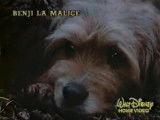Bande-annonce du film « Benji la Malice » (1987)