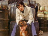 Photo de Cat Stevens avec un chien figurant sur la jaquette du single « I Love My Dog »