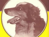 La chanson « Old Shep » de Red Foley (1933)