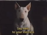 Bande-annonce du film « Baxter » (1989)