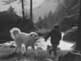 Belle et Sébastien, la rencontre