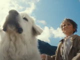 Bande-annonce du film « Belle et Sébastien 2 : l'aventure continue » (2015)