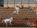 Le chien blanc dans le jeu vidéo « Shadow Dancer » (Sega, 1989)