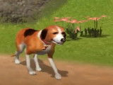 Incarner un chien dans le jeu vidéo « Dog's Life » (Frontier Developments, 2003)
