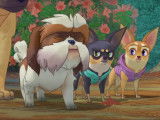 Bande annonce 2020 du film d'animation « Nous, les chiens »