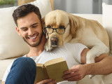 20 livres pour les amoureux des chiens