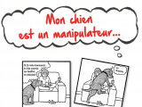 « Mon chien est un manipulateur » (Rupert Fawcett, 2014)