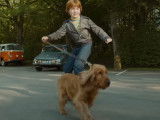 Bande annonce du film « Boule & Bill » (2013)