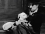 Charlot accompagné du chien Mut dans le moyen métrage « A Dog's Life » (1918), film complet