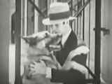 Le Berger Allemand Strongheart dans « The Return of Boston Blackie » (1927), film complet