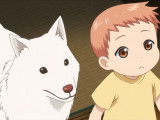 Kuri, le chien Shiba Inu blanc de l'anime « Elegant Yokai Apartment Life »