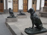 Les sculptures de chiens de la plaza Santa Ana de Las Palmas (îles Canaries, Espagne)