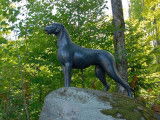La statue du chien Gelert, réalisée par Mary Anne Barkhouse et installée à Haliburton (Canada)