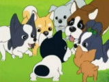 Générique de la série animée « Fortune Dogs » (2002 à 2003)