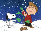 Snoopy et Charlie Brown en train de décorer un sapin pendant un jour de neige