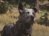 Bande-annonce du jeu vidéo «  Far Cry 5 » avec le chien Boomer