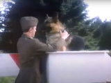 Bande-annonce du film « Chips, the War Dog » (1990)