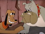 « Un os pour deux » (1942), un dessin animé où Pluto convoite un os