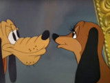 « Canine Casanova » (1935), un dessin animé avec Pluto en séducteur
