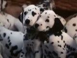 Bande-annonce du film « Les 101 Dalmatiens » (1996)