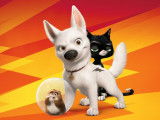 Volt, le chien héros du film de 2009 « Volt, star malgré lui »