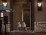 Une publicité pleine d’humour avec chiens gourmets et voiturier chat
