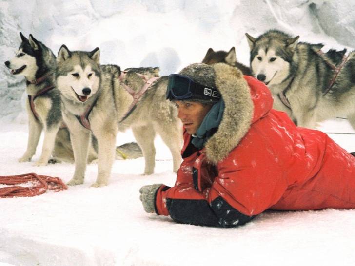 Les chiens de « Antartica, prisonnier du froid » (2006)