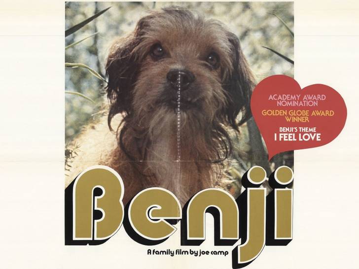 Benji (1974) - Chien célèbre du cinéma