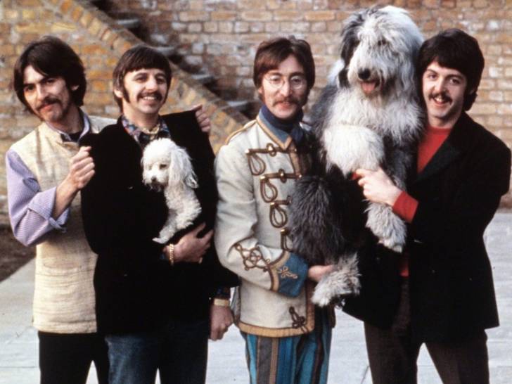 Une photo des Beatles avec deux chiens