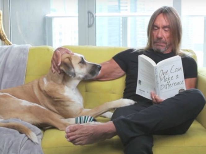 Iggy Pop, le chanteur du groupe The Stooges, assis sur un canapé avec son chien à ses côtés