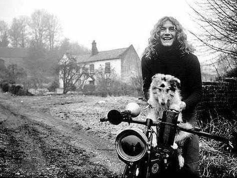 Robert Plant de Led Zeppelin avec son chien Stride, à qui est dédié la chanson « Bron-Yr-Aur Stomp »