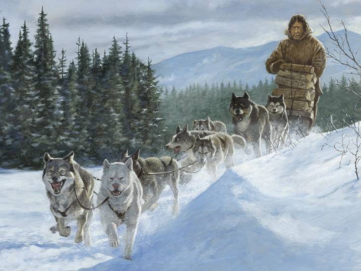 Une illustration du livre « L’ Appel de la forêt » représentant John Thornton et ses chiens de traîneau, dont Buck
