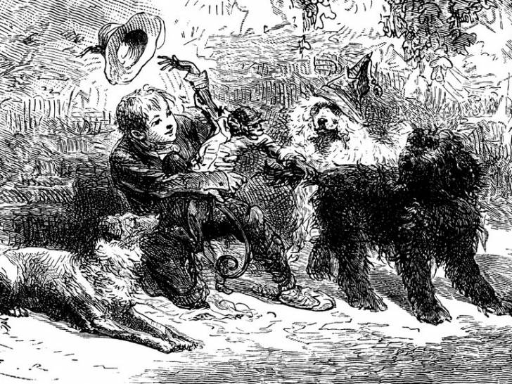 Une illustration de Rémi, le héros du livre « Sans famille », avec ses trois chiens et son singe
