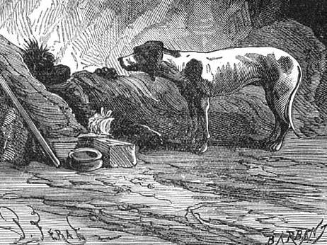 Une illustration du chien Top dans « L'Île mystérieuse », de Jules Verne