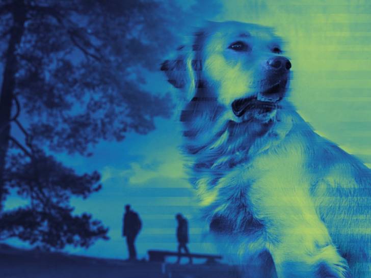 La couverture du livre « Chasse à mort », de Dean Koontz