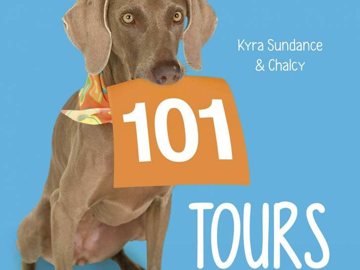 « 101 tours de dressage » (Kyra Sundance, 2020)