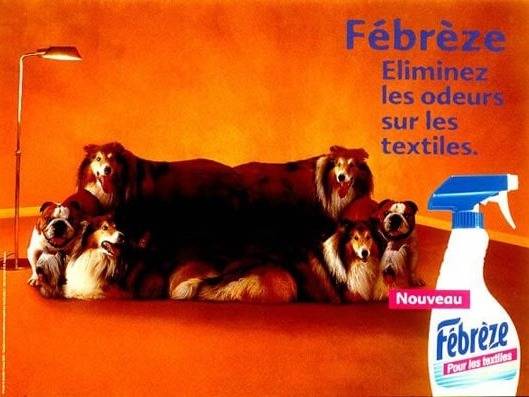 Une affiche de publicité pour le désodorisant Fébrèze (Procter & Gamble) dans laquelle des chiens Colleys et Bouledogues Français forment un canapé